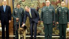 Ajax, el primer animal al que el Rey recibe en audiencia